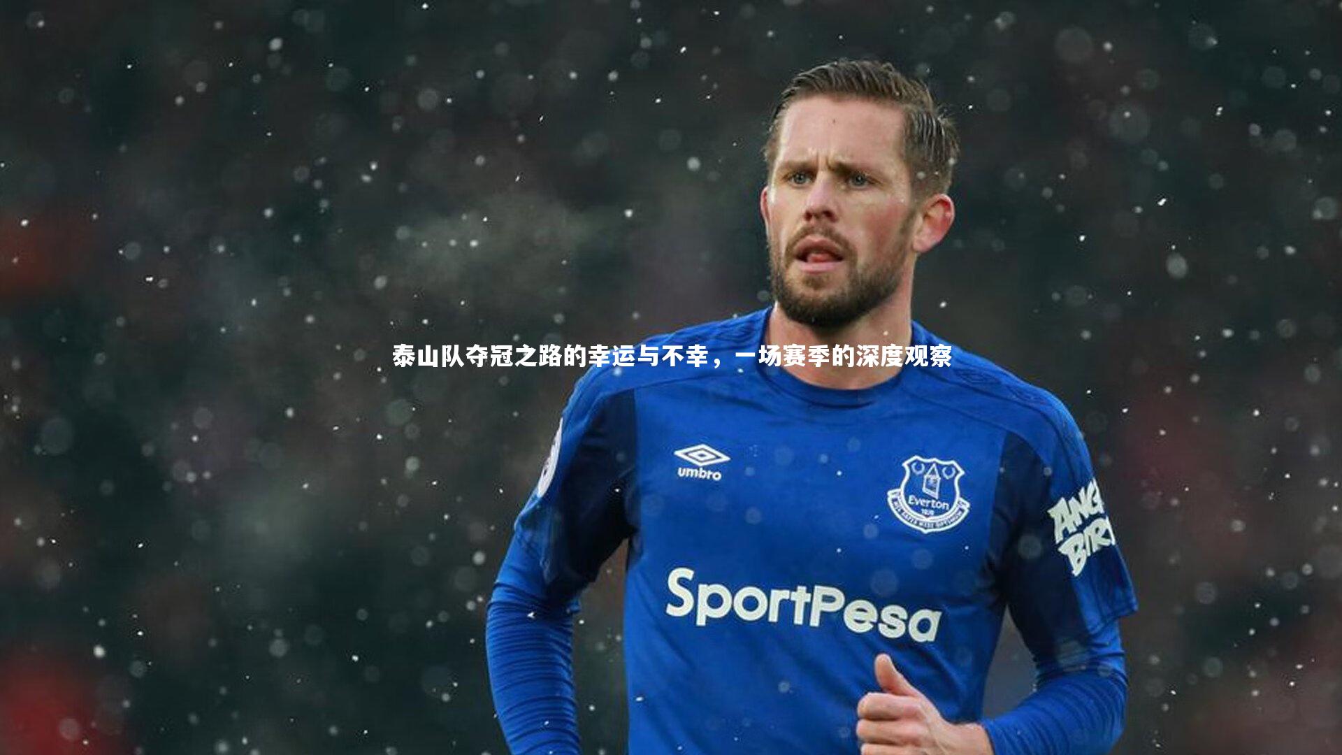 【九游体育官方入口】泰山队夺冠之路的幸运与不幸，一场赛季的深度观察